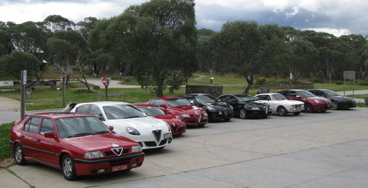 Alfas in car park