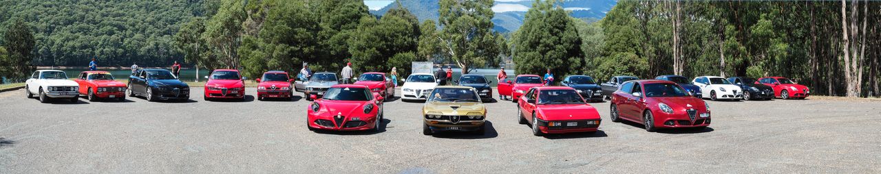 Alfas in car park