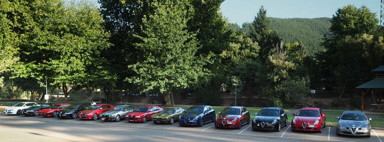 Alfas in Bright