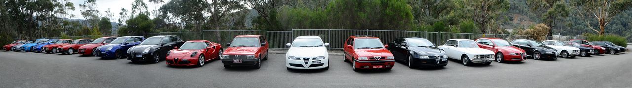 Alfas @ Dartmouth
