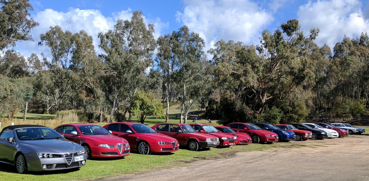 Alfas @ Whitfield