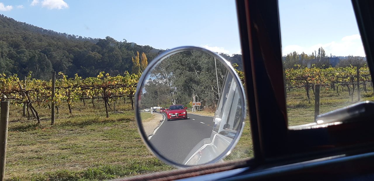 Alfas