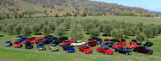 Alfas @ Tongio