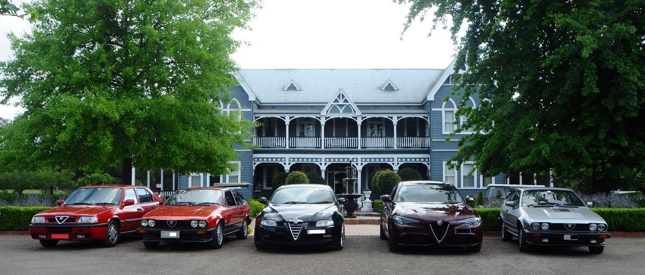 Alfas at the Convent
