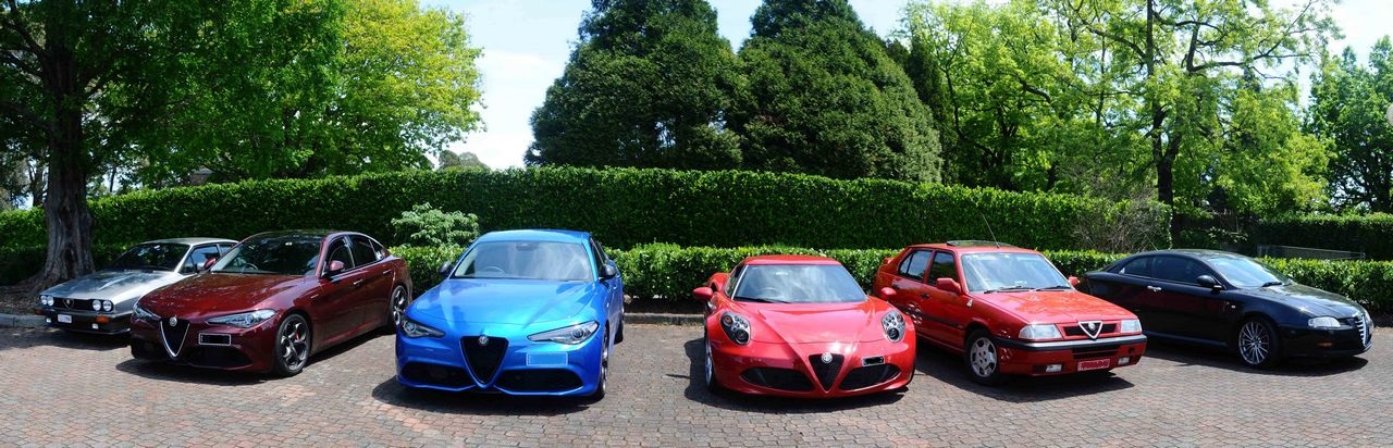 Alfas at Mt Tomah