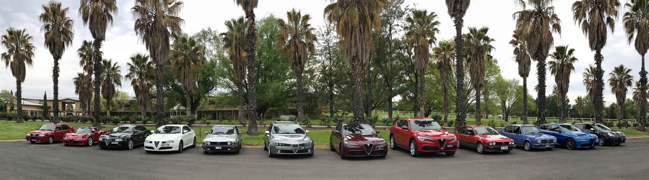 Alfas @ Mudgee