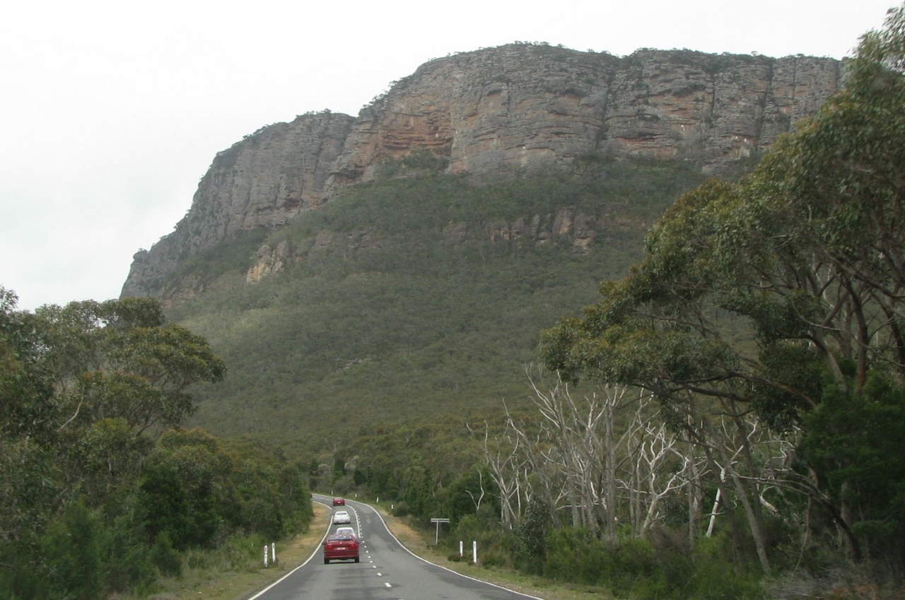 Alfas near Mt Abrupt