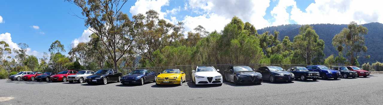 Alfas @ Dartmouth Dam