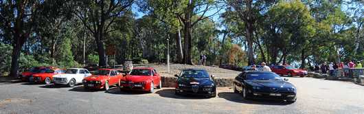 Alfas @ Tawonga Gap