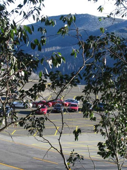 Inaugural Alpine Alfisti Tour - Falls Creek 2016
